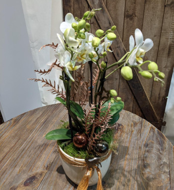 Orchidee dekoriert